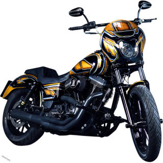 Padací rám Heinz Bikes na Harley Davidson Dyna 99-17